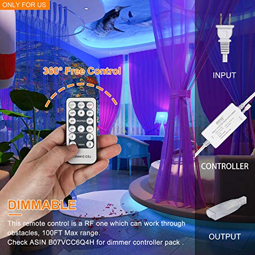 Shine Decor 7x14.5mm Dimmable LED Neon Lights, 82ft Blue, 110V Flexible Waterproof Rope Lights, 2835 120LEDs/M, for Indoor Outdoor Commercial Lighting Decoration, Accessories Included - Thumbnail 5