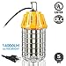 LEONLITE 100W LED Temporary Work Light Linkable, UL-Listed Jobsite Lighting, Plug-n-Play Outdoor Corded Portable Construction Lights with Metal Guard & Hook, Ultra Bright High Bay Fixture