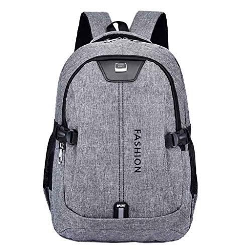 BEAUTYVAN Travel Laptop Backpack,Business Anti Theft Slim Durable Laptops Backpack with USB Charging Port Grey (Grey)