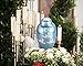 MEMORIALS 4U Wings to Eternity Dome Top Cremation Urn for Human Ashe - Adult Funeral Urn Handcrafted - Affordable Urn for Ashes with Free Velvet Bag