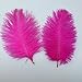 Sowder 20pcs Natural 10-12inch(25-30cm) Ostrich Feathers Plume for Wedding Centerpieces Home Decoration(Fuchsia)