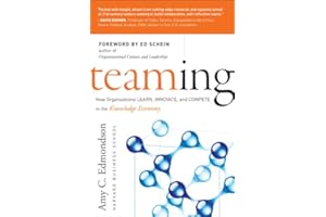 Teaming: How Organizations Learn, Innovate, and Compete in the Knowledge Economy