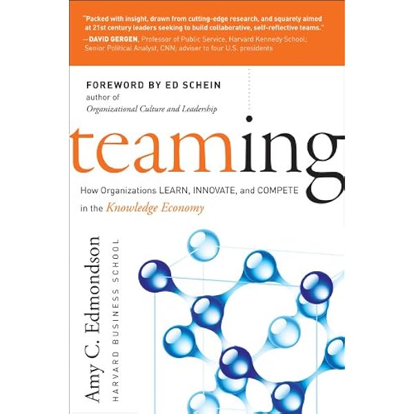 Personnel Economics in Practice Lazear， Edward P.; Gibbs， Michael Personnel Economics in Practice: 9781118206720: Human
