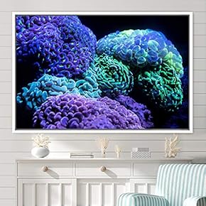 signwin Framed Canvas Wall Art Deep Under Group...