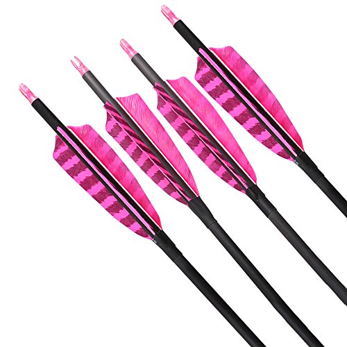 image for Huntingdoor 32-Inch Carbon Arrows with 4-Inch Feather Fletching Replac