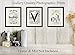 Louis Vuitton Vintage Luggage Wall Art Prints - Set of Three (8x10) Unframed Photos - Makes a Great Gift for Fashion Lovers and Home Decor