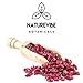 Naturevibe Botanicals Dried Cranberries (Sweetened), 1lbs | Natural and Healthy Snack | Dried Fruit (16 ounces)