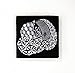 Sakura Zentangle Tool Set - 2 Gelly Roll White Pens, 1 Micron 08 Black Pen, 1 White Charcoal Pencil, 1 Tortillion, 5 3.5