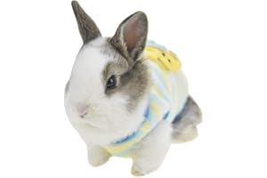 HAICHEN TEC Winter Warm Fleece Bunny Rabbit Clothes Cute Small Animal Guinea Pig Chinchilla Ferret Angel Costume Accessories Outfit for Hamster Ferret Rat Guinea Pig Cat Kitten Dog Puppy and Small Animals (XXS)