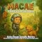 Livro Macaé: A História de Como Tudo Começou