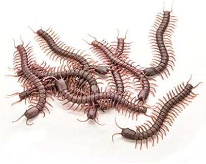 giant centipede toy