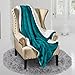 Genteele Sherpa Throw Blanket Super Soft Reversible Ultra Luxurious Plush Blanket, 50 x 60 inches, Teal/White
