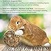 SunGrow Rabbit, Leopard Gecko & Guinea Pig Grass Chew Mat, Hay Bedding, Zip tie to Wire Cage Provide Insulation Cold Weather, Cover Ugly Wire on Cage, DIY Small Pet Runways, Huts