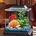 Imagitarium 1.4 Gallon Betta Aquariumthumb 1