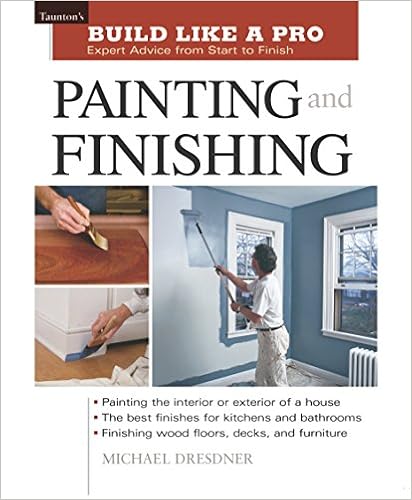 Painting and Finishing: Expert Advice from Start to Finish (Build Like A Pro)