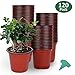 GROWNEER 120-Pack 6 Inch Nursery Pots with Drainage Holes and 15 Plant Labels – Plastic Seed Starter Planter Set for Indoor & Outdoor Gardening Seedling
