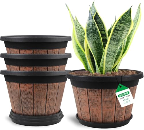Plant Pots