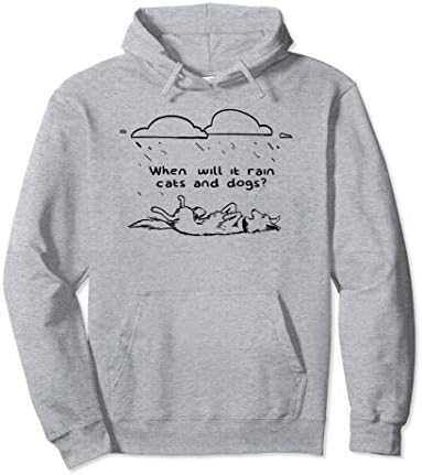 Unisex Dozing Dog Hoodie When Will it Rain Cats and Dogs Friendzone 2XL Heather Grey