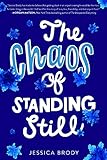 The Chaos of Standing Still