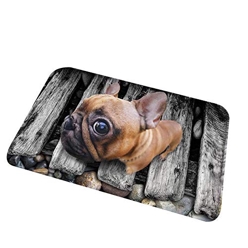 mekolen Estera Linda del Estampado de Animales 3D Forma Cuadrada Antideslizante Estera del Cuarto de baño Alfombras (23,6 x 15,7 Pulgadas)