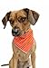 Tail Trends 6 Pack Pet Dog Bandanas Triangle Bib Scarf Assortment of Designs Available - 100% Cotton
