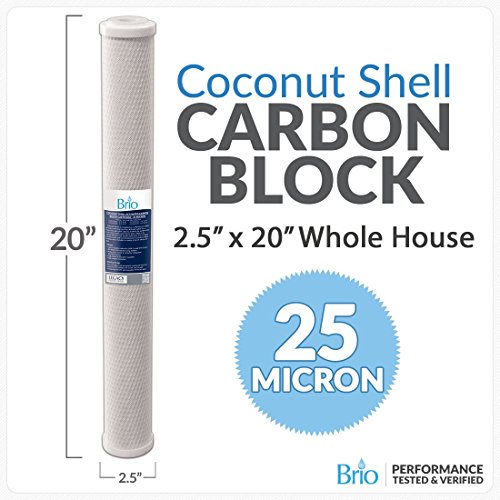 Organize 25 Micron CTO Carbon Block Coconut Shell Water Filt