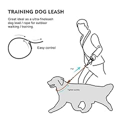 BeauGo Slip Leads for Dogs,Thin Slip Lead,Dog