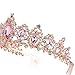 Sweet Princess Pink Crowns for Women Girls Crystal Rhinestone Queen Costume Party Festival Wedding Tiaras Headbands (Rose Gold Pink)