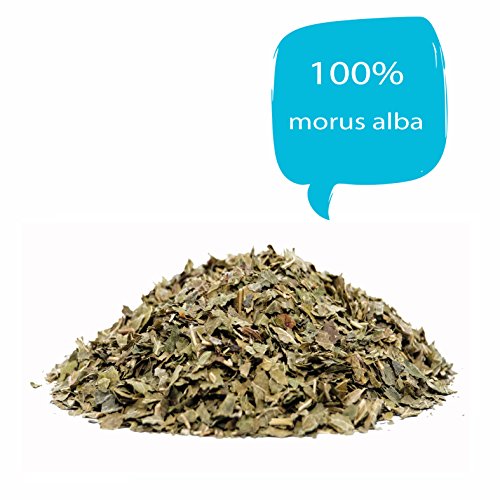 WeiÃe Maulbeere Blatt Tee (Morus alba) 400G, geschnitten – Bild 3