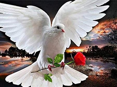 Diamanteredondo Diamante Engranaje Completo 5d Diy Kits De Punto De Cruz Bordado De Diamantes Pintura Diamante La Paloma 60x70cm Amazon Es Hogar amazon es