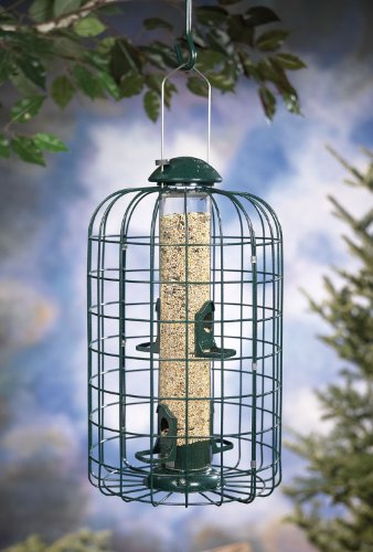 Squirrel-X Squirrel Proof Bird Feeder, Tube Feeder, Four Feeding Ports, 1 Pound Bird Seed Capacity, Green