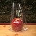 100 Clear Treat & Favor Bags | Ties Included | Great For Cake Pops, Candy, Gifts, Wedding or Party Favors | Food Safe Plastic | Stronger Than Cellophane | 1.5 Mils Thickness | 5.75