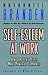 Self-Esteem at Work: How Confident People Make Powerful Companies (J-B Warren Bennis Series)