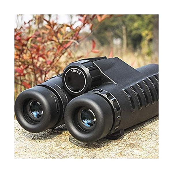 Fernglas, Teleskop Hd 10X42 Fernglas Teleskop Zoom Vision Okular Leistungsstarke kompakte Wasserdichtigkeit für den… – Bild 4