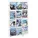 Safco Reveal Literature Rack, 12 Magazine Holder, Wall Mountable, Thermoformed Plastic Resin Construction, No Sharp Edges or Corners, Acrylic, Clear