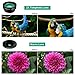 Cell Phone Camera Lens, Kaiess 9 in 1 Wide Angle Lens,Macro Lens,Fisheye Lens,Telephoto Lens,CPL Lens, Kaleidoscope and Starburst Lens Compatible with iPhone,Samsung,Most Andriod Phones