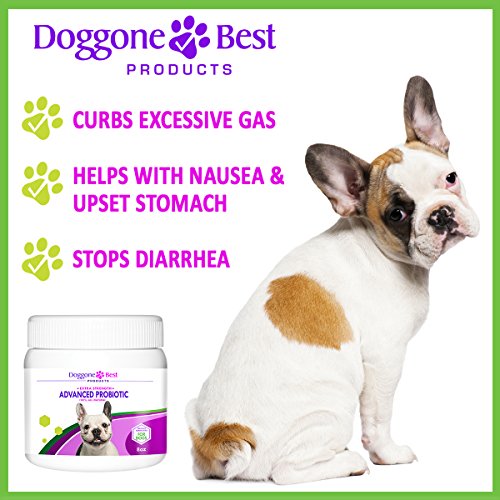 Probiotics for Dogs Tasteless Probiotic Powder for Fast Diarrhea