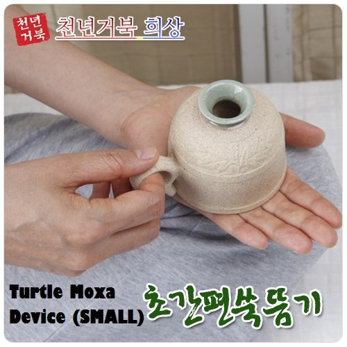 Turtle Moxa Device (SMALL) - English Manual Included