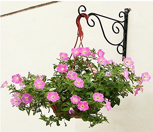 DODXIAOBEUL Set of 2 Vintage Style Wall-mounted plant Bracket Metal Potted Plant Hanging 12.5" Indoor Outdoor Flower Pots Holder Rack or Lighting Lamps Hanging for Home Garden Studios Black
