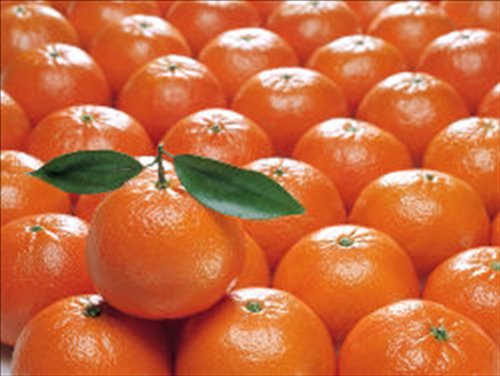 Organic Mountain Clementines - Thumbnail 2
