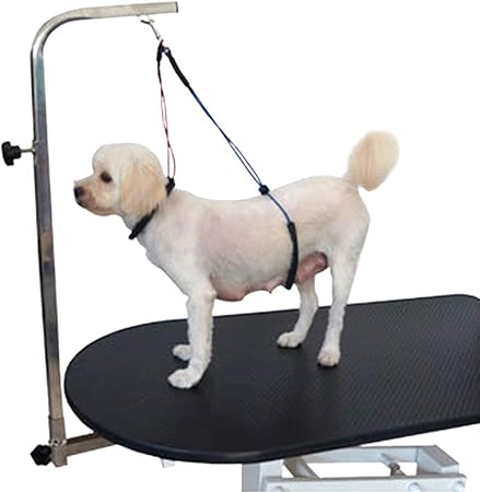 chameleon heat lamp wattage