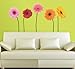 RoomMates RMK1279GM Gerber Daisies Peel and Stick Wall Decals