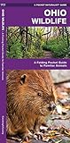 Ohio Wildlife: A Folding Pocket Guide to Familiar