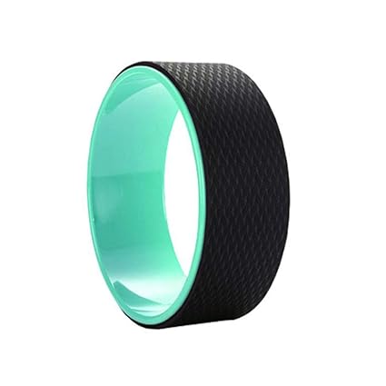 Amazon.com: Taotaojiaju Yoga Wheel, Gym Exercise Back Waist ...