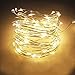 Ucharge Dimmable Led String Lights, 100 LEDs Twinkle 33ft Copper Wire Lights USB Indoor Outdoor, Christmas Decorative Lights Seasonal Holiday.(Warm White)