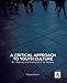 A Critical Approach to Youth Culture: Its Influence and Implications for Ministry (YS Academic) by Pamela Erwin