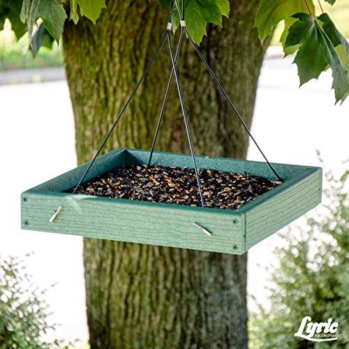 Lyric Cardinal Wild Bird Seed Sunflower & Safflower Premium Bird Food Mix for Cardinals