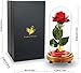 Enchanted Rose, Beauty and The Beast Red Rose with Fallen Petals in A Light Dome USB Powered, Home Decoration Valentine's Day Gift, Romantic Rose Gift for Women Girl
