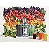 Sage-BJE430SIL-the-Nutri-Juicer-Cold-Fountain-Centrifugal-Juicer-Silver Sage BJE430SIL the Nutri Juicer Cold Fountain Centrifugal Juicer - Silver