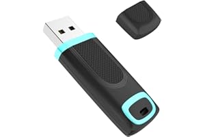 RAOYI 32GB USB 3.0 Flash Drive Thumb Drive USB 3.0 Memory Stick Single 32GB USB Key Zip Drive USB Drive (32G, Cyan)